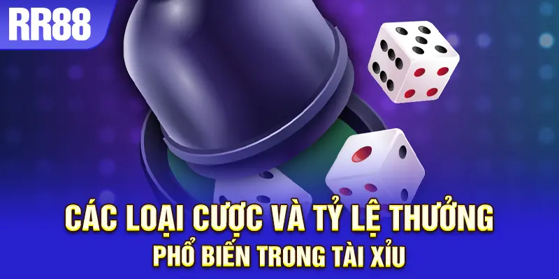 Giới thiệu luật chơi tài xỉu cơ bản tại RR88