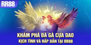 Đá Gà Cựa Dao