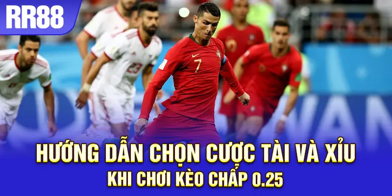 Theo dõi biến động kèo để chọn thời điểm cược