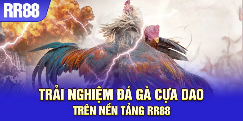 Đặt cược đá gà cựa dao dễ dàng và minh bạch trên RR88